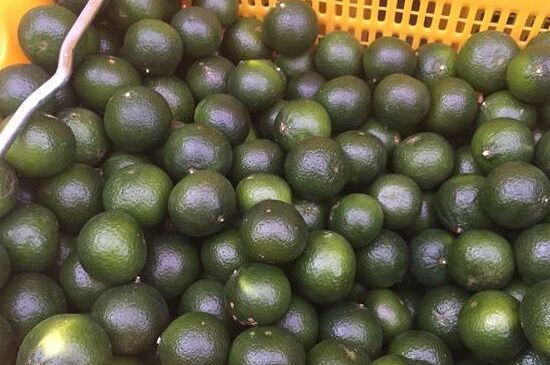 家庭自制柑普茶方法，小青柑制作9個(gè)步驟竅門（圖片）