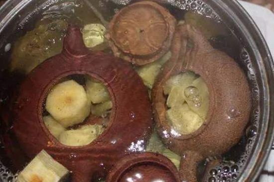 開壺放豆腐是錯誤的，新買的紫砂壺正確開壺建議