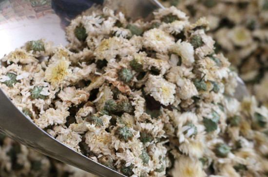 菊花茶買小朵還是大朵，泡茶用的小菊花和大菊花哪個(gè)好