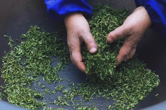 自家炒茶葉怎么炒，自己炒茶葉的步驟