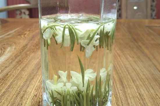 女孩喝茉莉茶的好處，茉莉茶葉的功效與禁忌