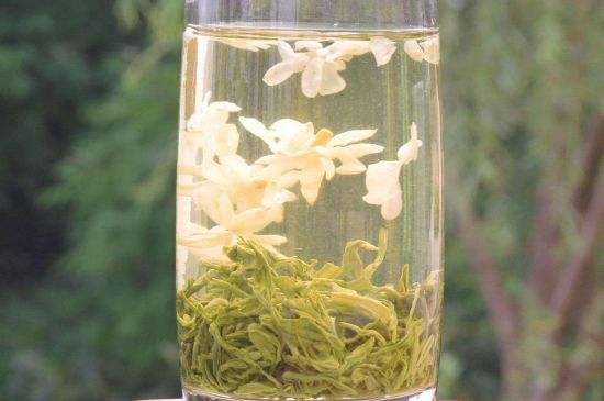 茉莉龍珠可以和什么一起泡茶，茉莉龍珠茶能加蜂蜜嗎？