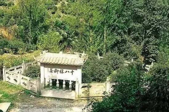 母樹大紅袍給誰(shuí)喝了，為什么母樹大紅袍叫三棵六株？