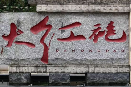 母樹大紅袍給誰(shuí)喝了，為什么母樹大紅袍叫三棵六株？