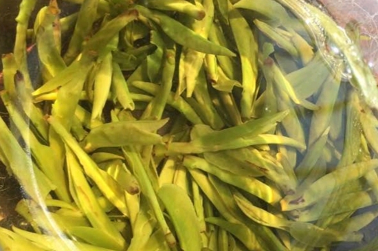 龍井是明前的好還是雨前的好，明前茶和雨前茶哪個(gè)好喝？