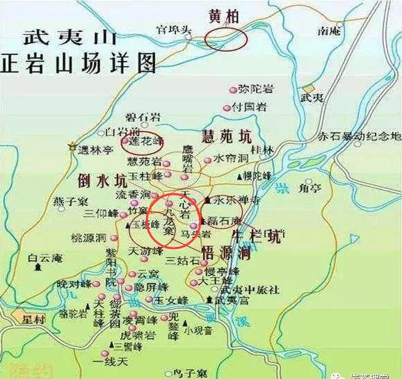 母樹大紅袍給誰(shuí)喝了，為什么母樹大紅袍叫三棵六株？