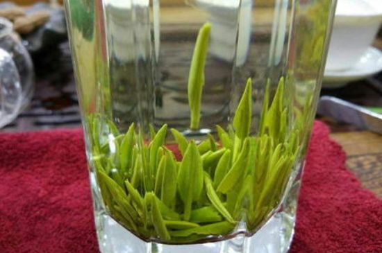 雀舌有一股青草味，雀舌為什么有青草味？