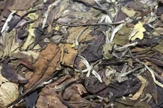 老白茶上火還是去火？夏季喝煮的老白茶會容易上火！