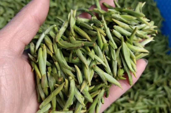 龍井茶好壞的鑒別圖片，如何區(qū)別龍井茶的好壞？