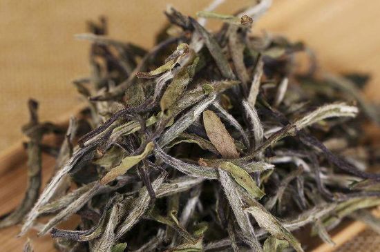 什么人不能喝白茶，白茶不宜什么人喝？