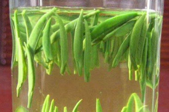 竹葉青和毛尖的區(qū)別，毛尖和竹葉青怎么分辨？