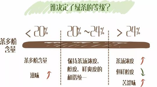 什么綠茶口味重口感濃郁，口味比較重的綠茶都有那些？
