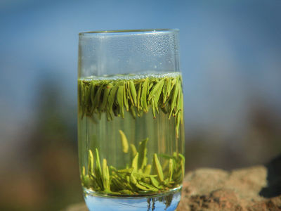 竹葉青茶怎么樣，檔次較高味道略苦價(jià)格比較貴