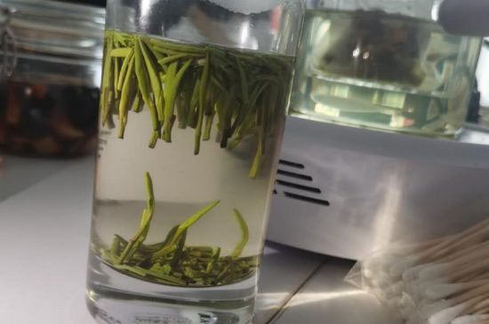 金壇雀舌算不算好茶，金壇雀舌屬于什么檔次茶葉？