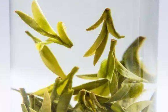 烏牛早和龍井的區(qū)別圖片，龍井43號(hào)和烏牛早茶的對(duì)比