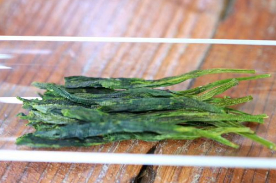 什么綠茶最香最好喝，綠茶口感與香氣排名