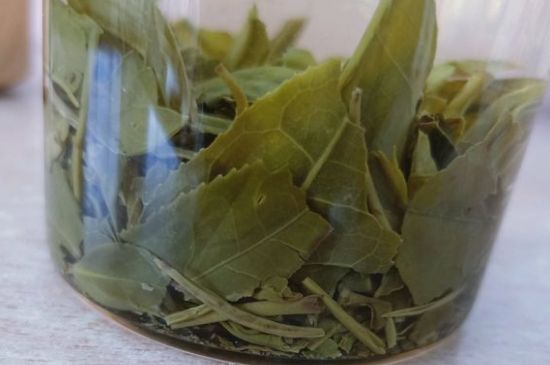 綠茶陳茶和新茶區(qū)別，綠茶怎樣區(qū)分新茶和陳茶