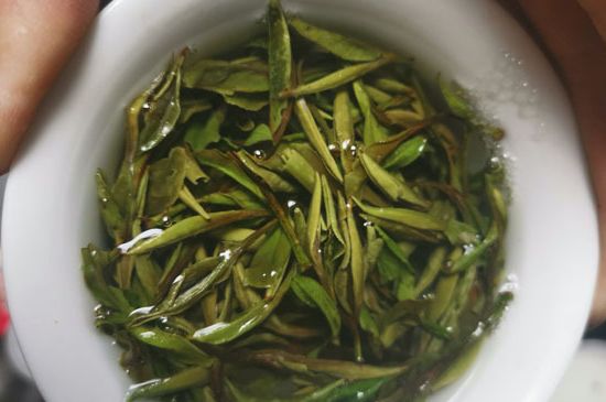 什么人不能喝白茶，白茶不宜什么人喝？