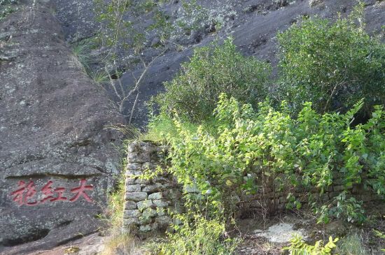 母樹大紅袍給誰(shuí)喝了，為什么母樹大紅袍叫三棵六株？