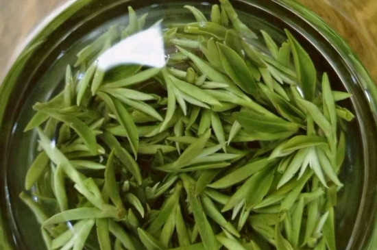 什么綠茶茶葉唇齒留香，哪個(gè)品種綠茶香氣好？