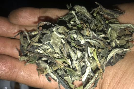 7年壽眉和2年白牡丹哪個(gè)好，老白茶壽眉與白牡丹的口感區(qū)別