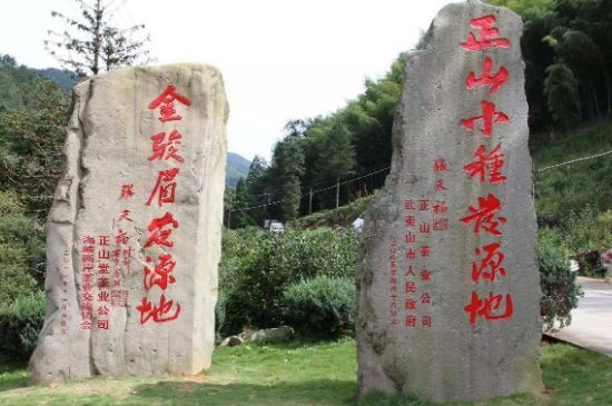 300塊錢的金駿眉能喝嗎，兩三百多金駿眉和一千多區(qū)別