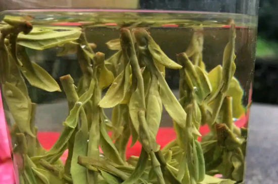 什么綠茶最香最好喝，綠茶口感與香氣排名