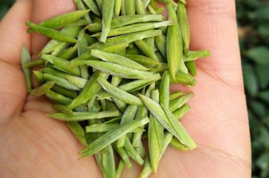 什么綠茶味道濃香，那個綠茶比較濃香？