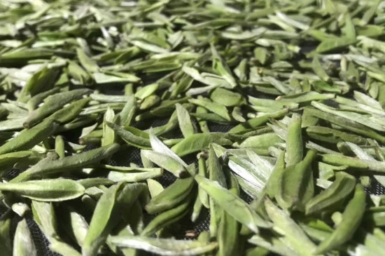 白毫銀針年份久的有什么香，陳年白毫銀針的香氣