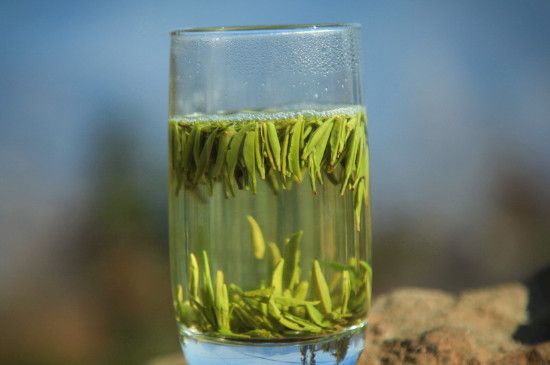 竹葉青茶泡不立起來怎么回事，竹葉青茶怎么泡立起來