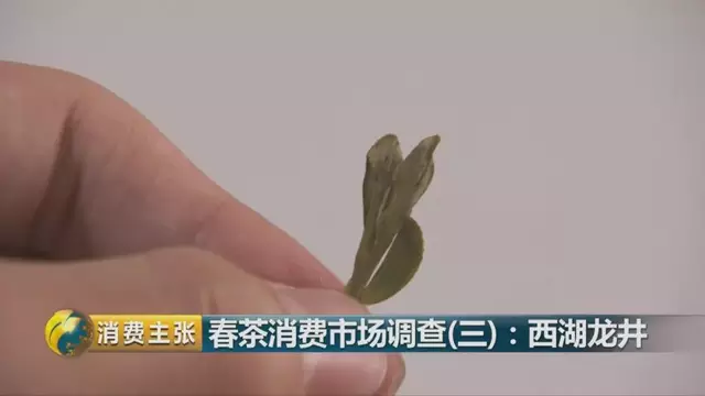 龍井群體種和43號的區(qū)別圖片，龍井43和群體種哪個好喝？