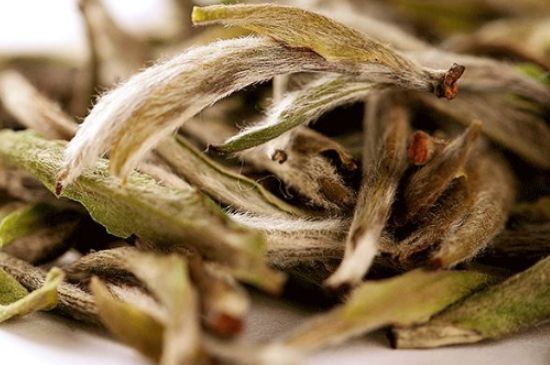 荒野銀針有什么特點(diǎn)，荒野銀針的味道口感咋樣？