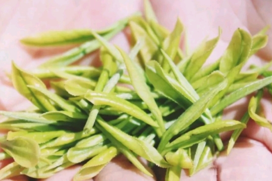 龍井是明前的好還是雨前的好，明前茶和雨前茶哪個(gè)好喝？