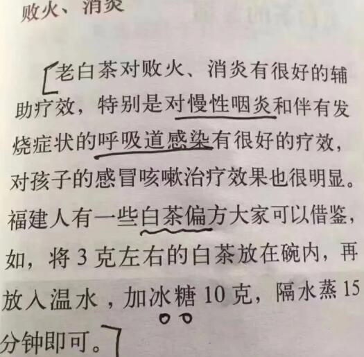 老白茶上火還是去火？夏季喝煮的老白茶會容易上火！