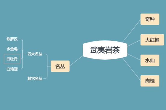 武夷巖茶品種大全，巖茶有幾種？