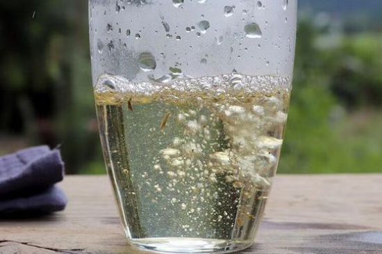 三年白茶賽砒霜，這是真的嗎？