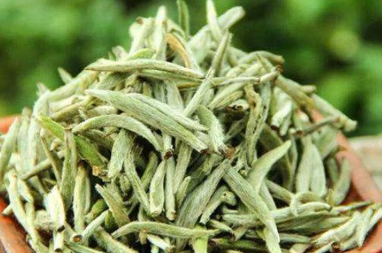 白毫銀針年份越久越好嗎，銀針白毫是否越陳越好