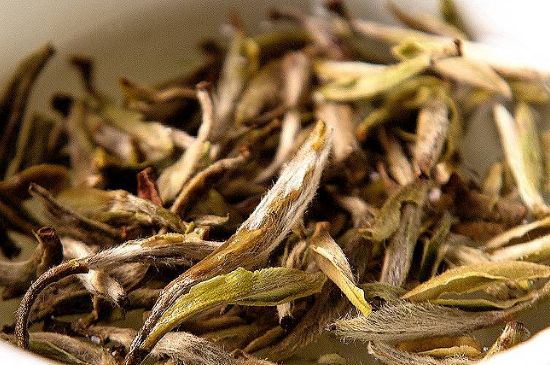 荒野銀針市場(chǎng)價(jià)多少，真正的荒野白毫銀針多少錢？