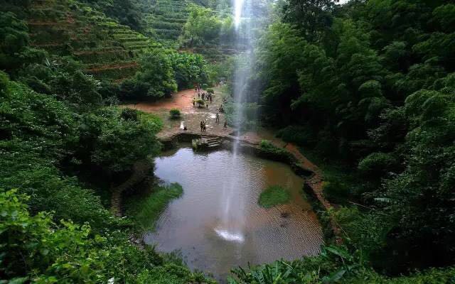 武夷山為什么盛產(chǎn)茶葉，武夷山茶為什么好喝？