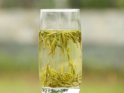 霍山黃芽算是好茶嗎，霍山黃芽屬于什么茶？