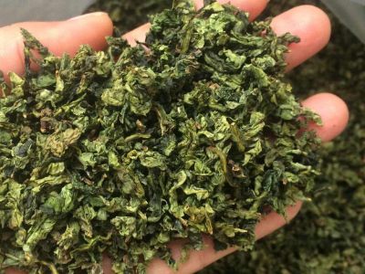 鐵觀音毛茶茶?？梢耘菟葐?，鐵觀音帶梗是不是好茶？