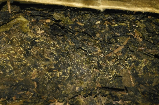 黑茶茯茶保存五大忌，茯茶收藏的注意事項(xiàng)