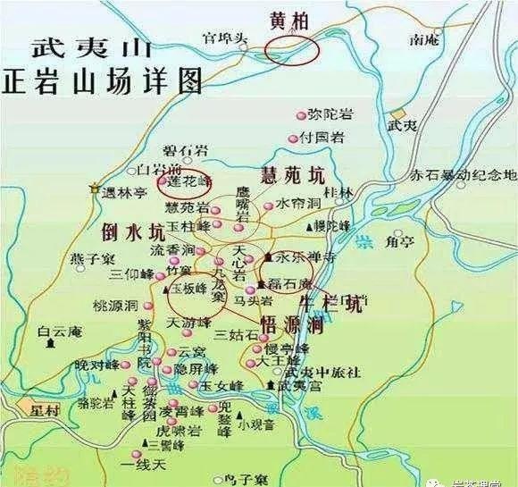 300塊錢的金駿眉能喝嗎，兩三百多金駿眉和一千多區(qū)別