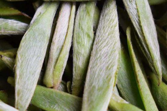 荒野銀針有什么特點(diǎn)，荒野銀針的味道口感咋樣？