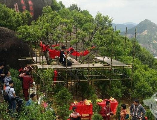 宋種一號價值為什么高，鳳凰單樅宋種1號價格與產(chǎn)量多少？