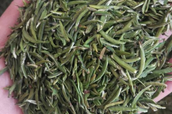 金壇雀舌算不算好茶，金壇雀舌屬于什么檔次茶葉？