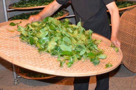 鐵觀音加香精騙局，鐵觀音的香味是添加香精了嗎？