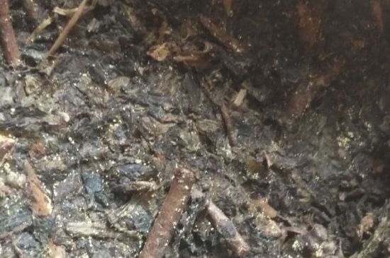 黑茶茯茶保存五大忌，茯茶收藏的注意事項(xiàng)