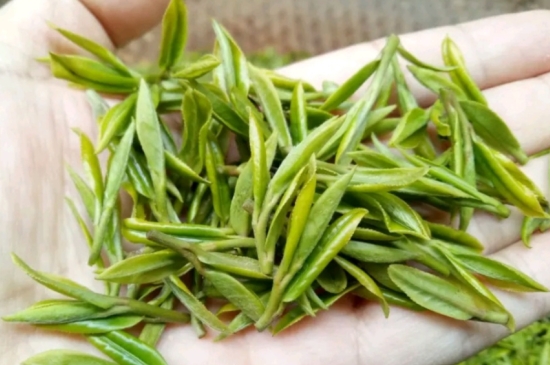 什么是雪前龍井茶，明前、雨前、雨后龍井有什么區(qū)別？