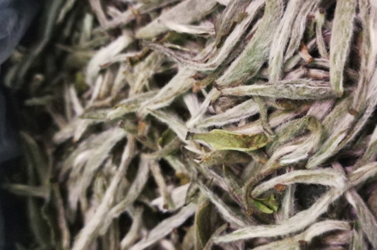 白毫銀針年份越久越好嗎，銀針白毫是否越陳越好